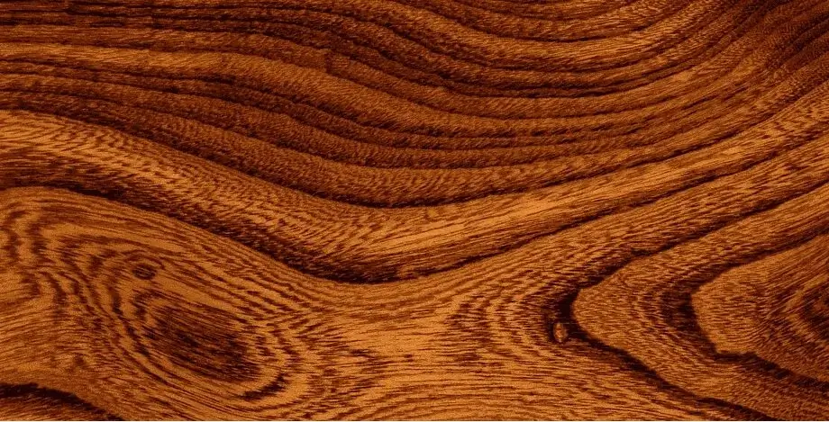 Close up of oak wood grain